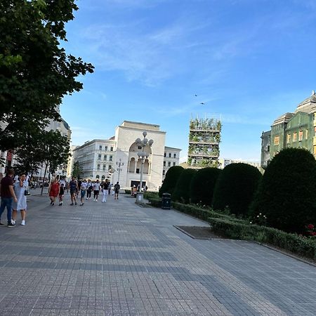 Ultracentral Luxury Apartament Timişoara Exterior foto