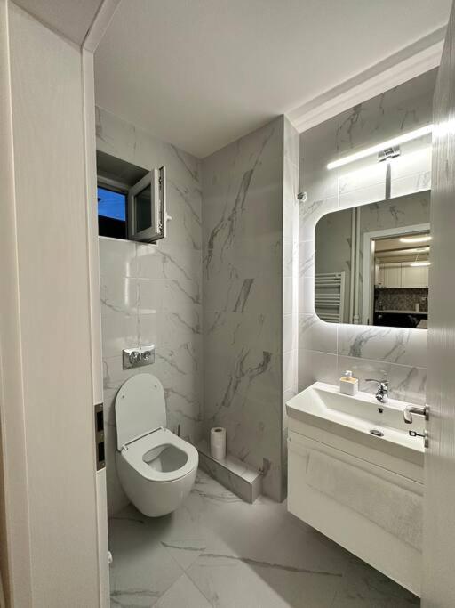 Ultracentral Luxury Apartament Timişoara Exterior foto