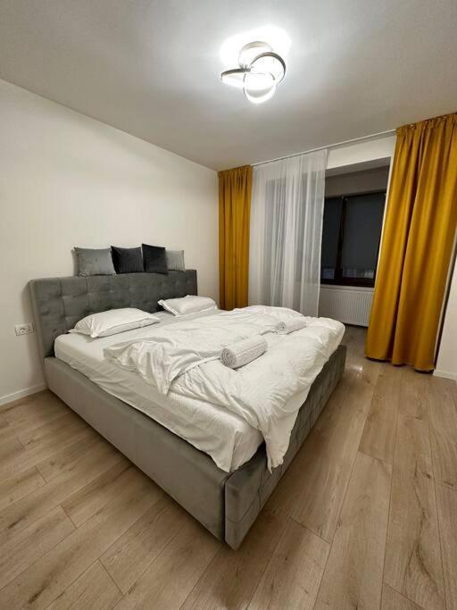 Ultracentral Luxury Apartament Timişoara Exterior foto